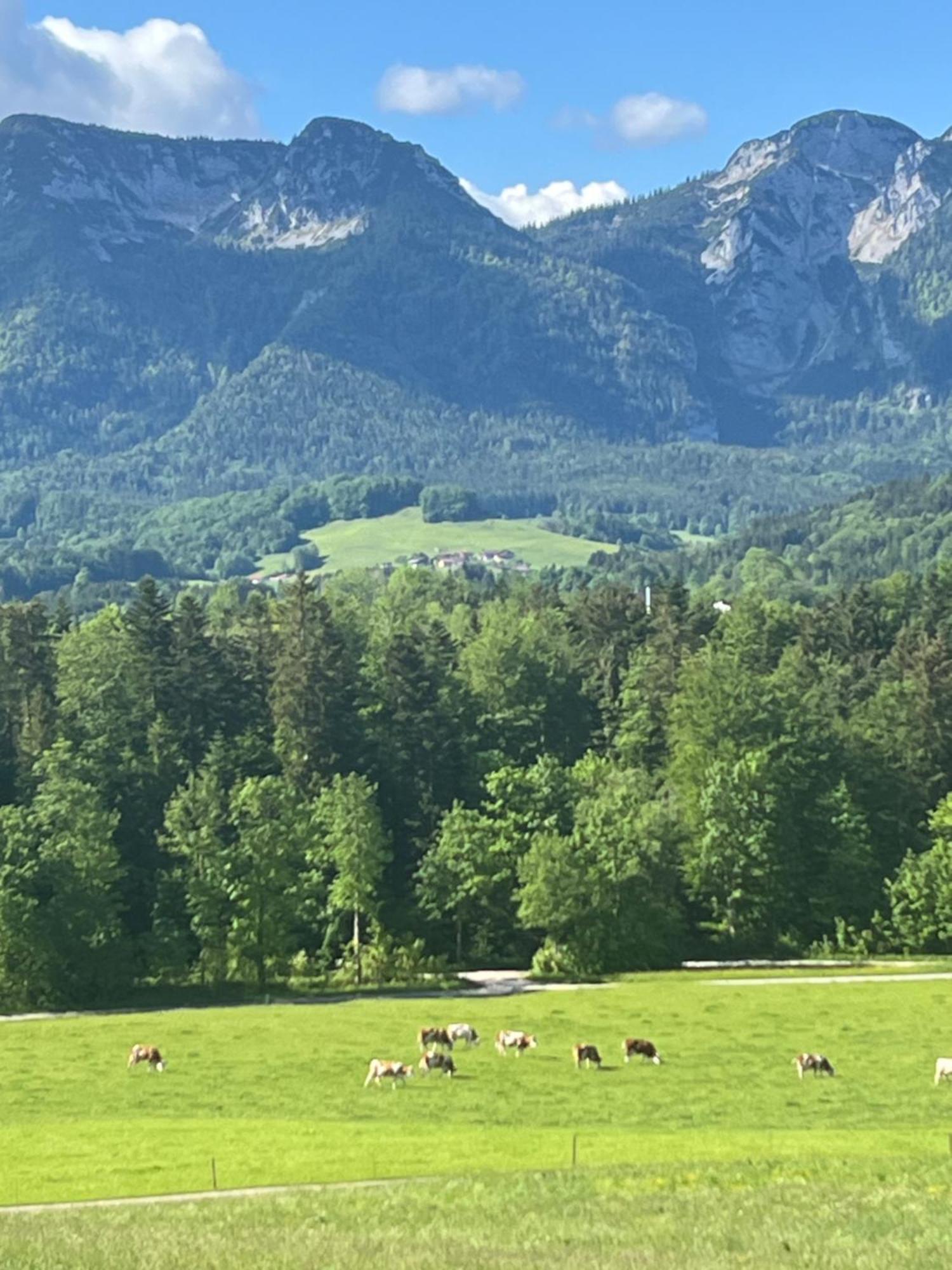 Rest - Romantische - Erholsame - Schoene - Tage Appartement